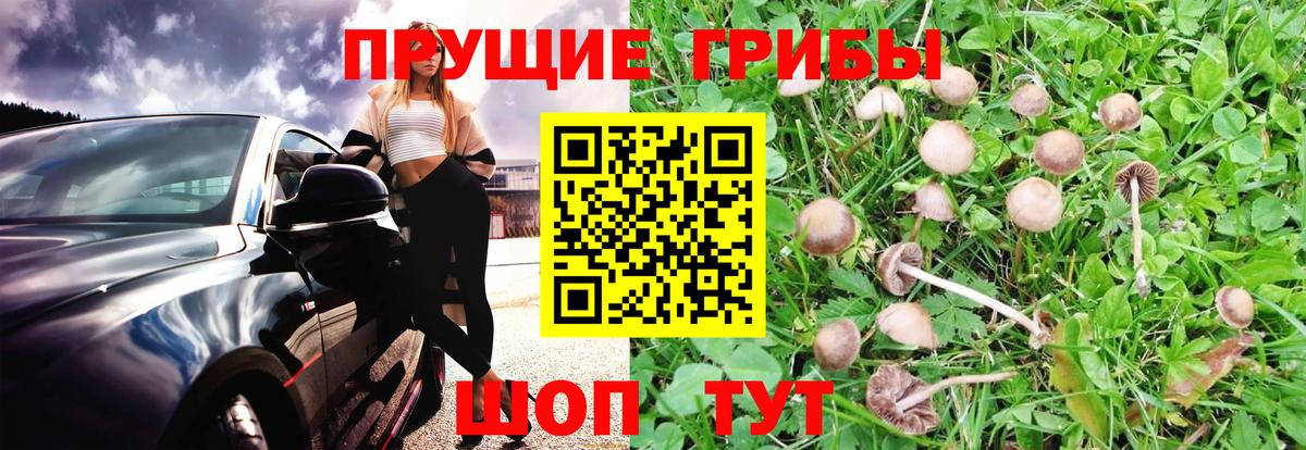 Псилоцибиновые грибы мицелий  Галлюциногенные грибы прущие грибы  магазин    Вход с VPN  Советская Гавань 